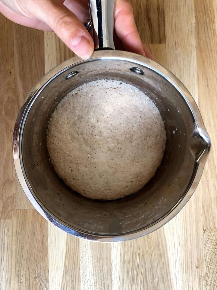 dry yeast starter